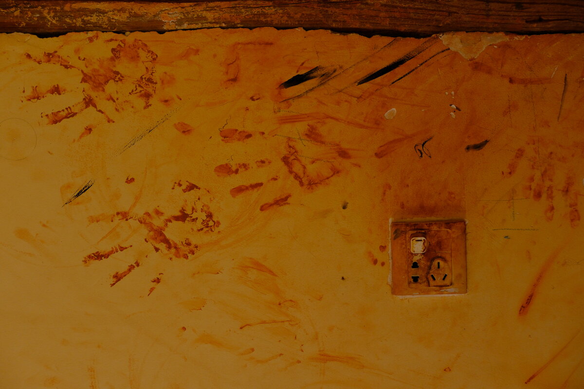 DSCF1169.jpg