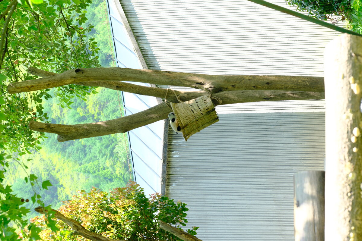 DSCF0564.jpg