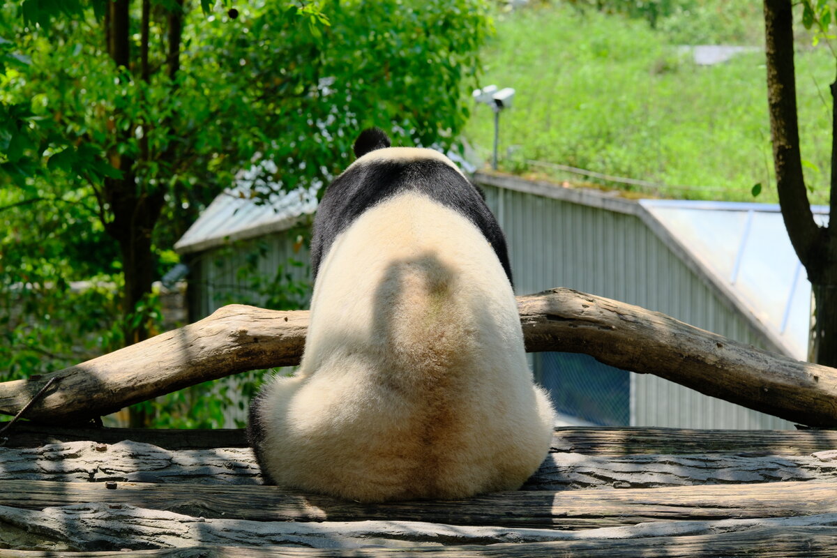 DSCF0627.jpg