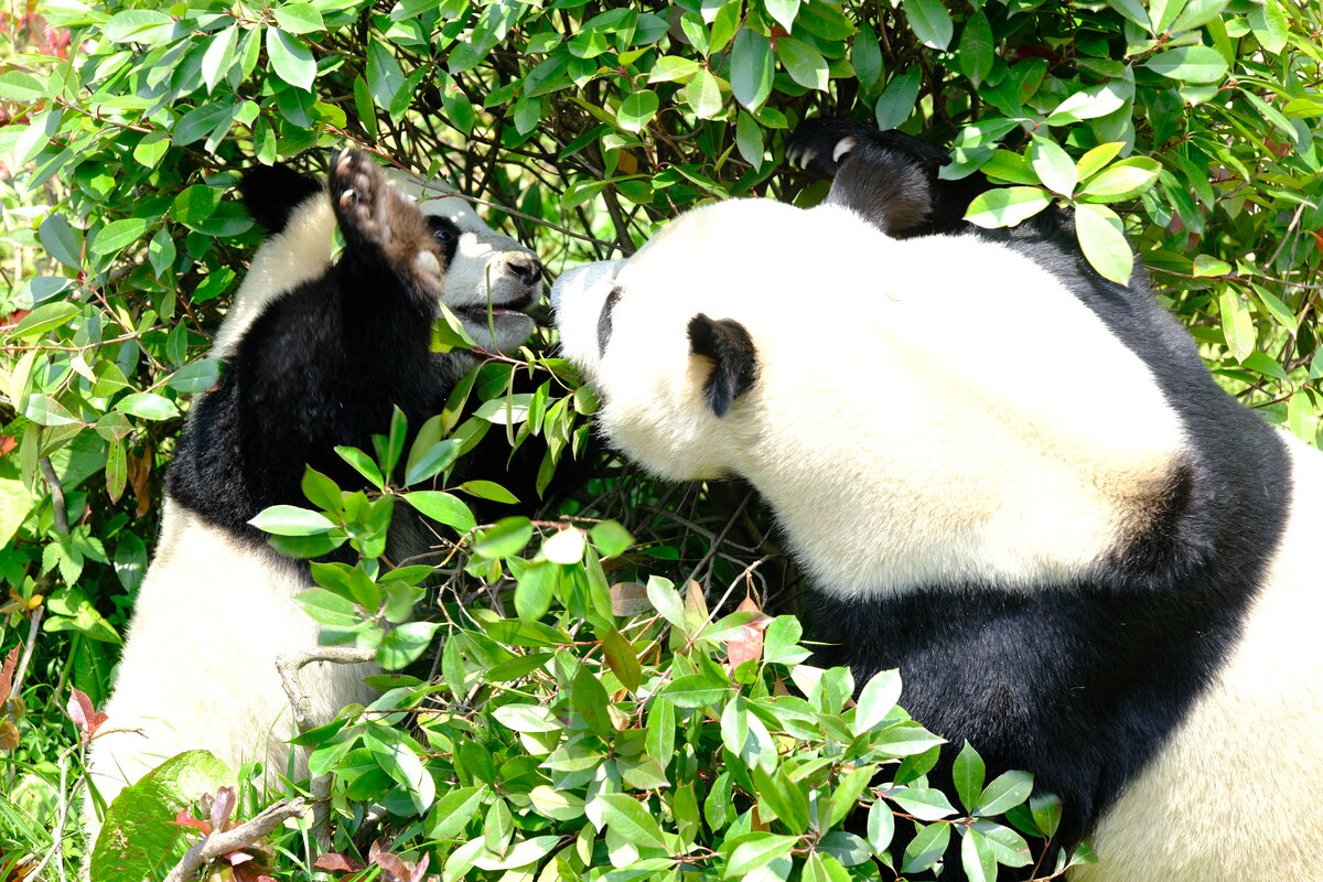 DSCF0764.jpg