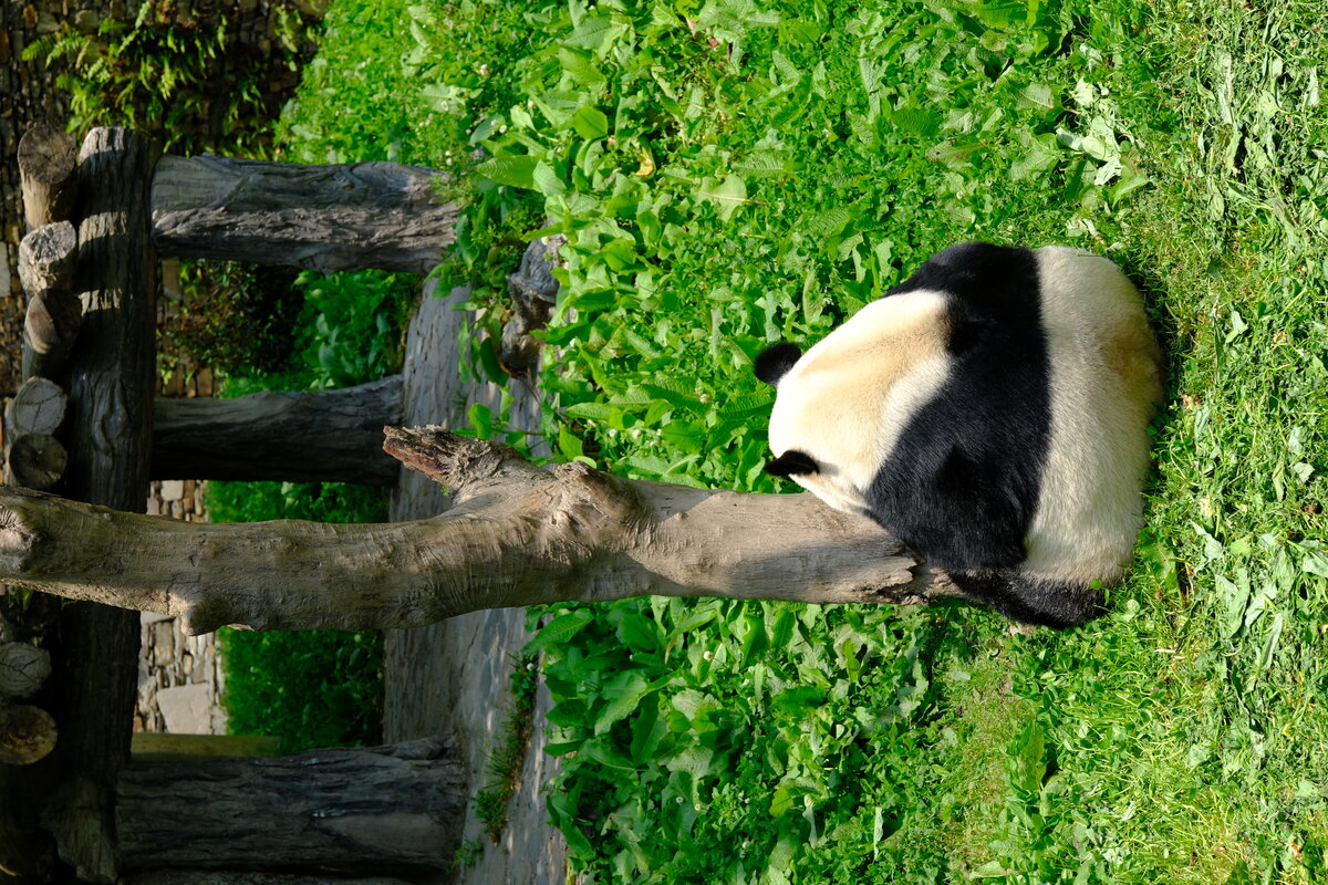 DSCF0818.jpg
